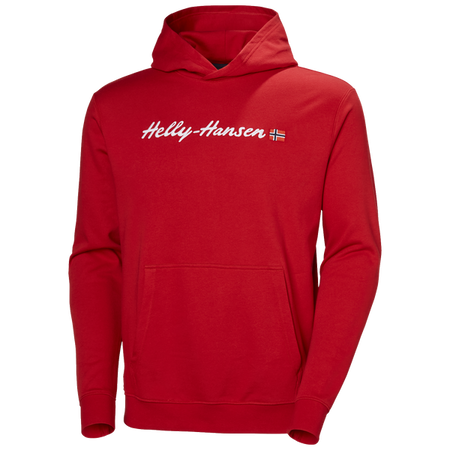Bluza męska HELLY HANSEN CORE GRAPHIC SWEAT HOODIE 53924 163