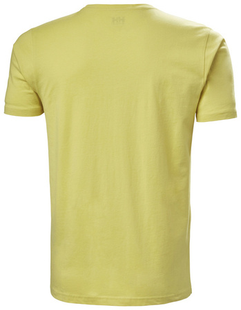 Koszulka męska HELLY HANSEN HH LOGO T-SHIRT 33979 455