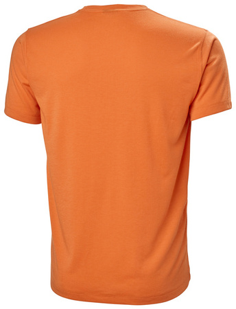 Koszulka męska HELLY HANSEN MOVE T-SHIRT 53704 325