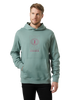Bluza męska HELLY HANSEN CORE GRAPHIC SWEAT HOODIE 53924 489